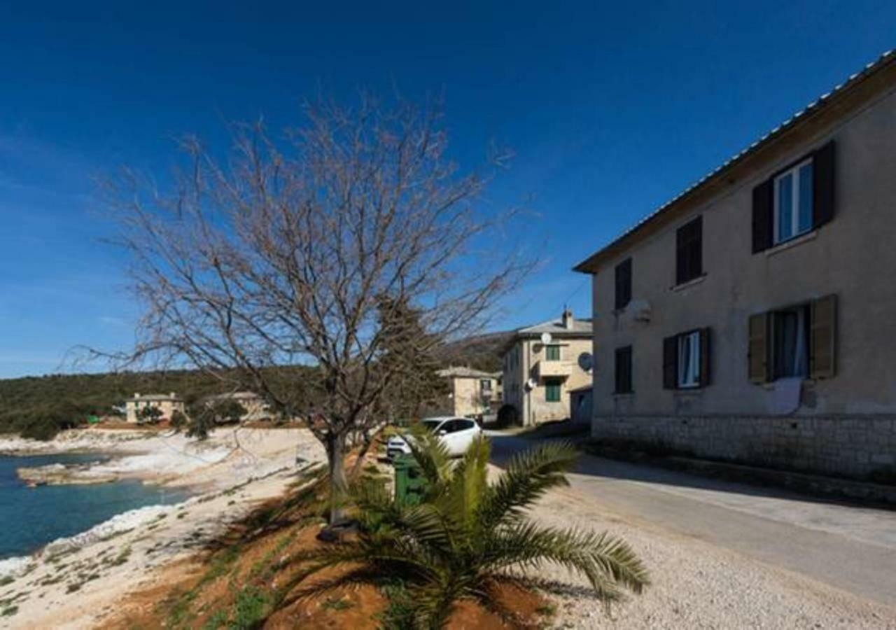 Apartment Dobric Koromacno Exterior photo